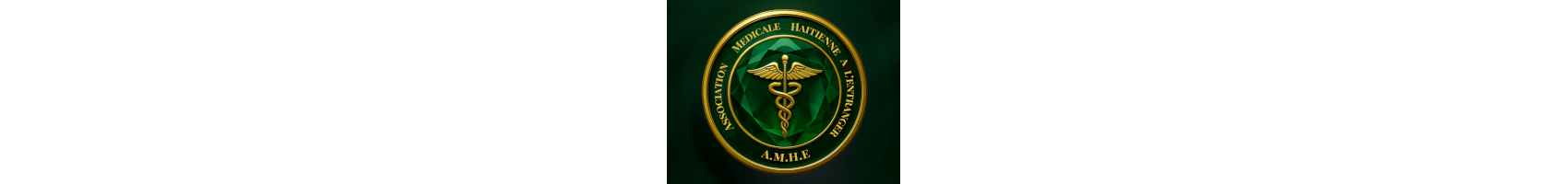 AMHE Logo